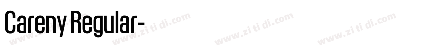 Careny Regular字体转换 Careny Regular字体转换